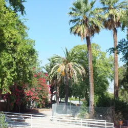 Nicosia Municipal Gardens - Aglantzia