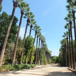 Nicosia Municipal Gardens - Aglantzia
