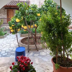 Agios Minas Church - Aradippou