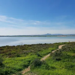 Cycling and Hiking Trails - Aradippou