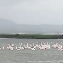 Cycling and Hiking Trails - Aradippou