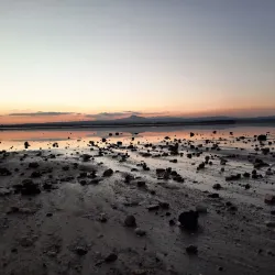 Cycling and Hiking Trails - Aradippou