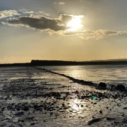 Cycling and Hiking Trails - Aradippou