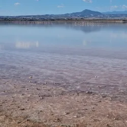 Larnaca Salt Lake - Aradippou