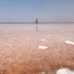 Larnaca Salt Lake - Aradippou