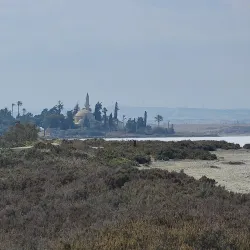 Larnaca Salt Lake - Aradippou