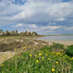 Larnaca Salt Lake - Aradippou