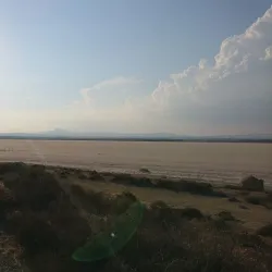 Larnaca Salt Lake - Aradippou