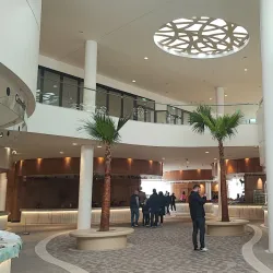 Local Markets - Aradippou