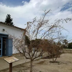 Ancient Tombs of Athienou - Athienou