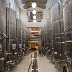 Athienou Vineyards - Athienou