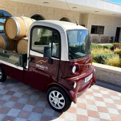 Athienou Vineyards - Athienou