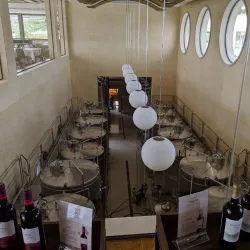 Athienou Vineyards - Athienou