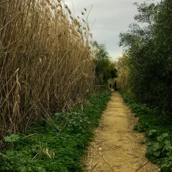Nature Trails around Athienou - Athienou