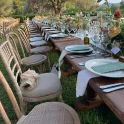 Avgorou Olive Groves - Avgorou