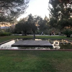 Avgorou Olive Groves - Avgorou