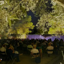 Avgorou Olive Groves - Avgorou
