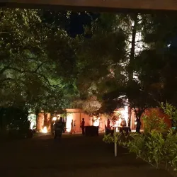 Avgorou Olive Groves - Avgorou