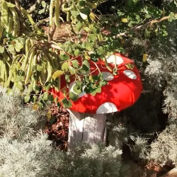 Avgorou Village Center - Avgorou