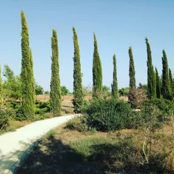 Avgorou Village Center - Avgorou