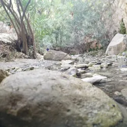 Hiking and Nature Trails - Avgorou