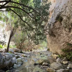 Hiking and Nature Trails - Avgorou