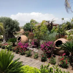 Kokkinochoria Villages - Avgorou