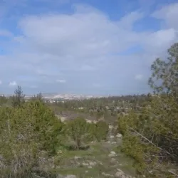 Dali Archaeological Site - Dali