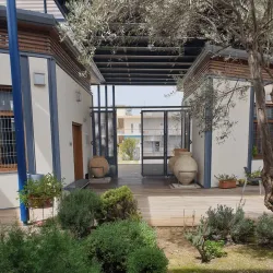 Dali Municipal Museum - Dali