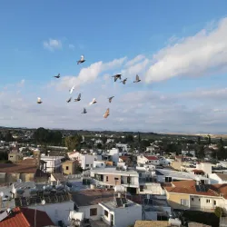 Dali Village Square - Dali