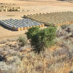 Dali Village Square - Dali