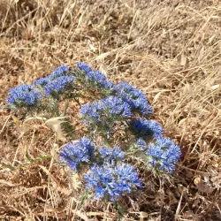 Dali Village Square - Dali