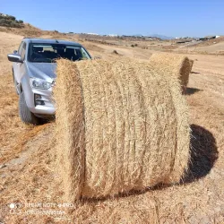 Dali Village Square - Dali