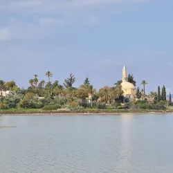 Larnaca Salt Lake - Dali