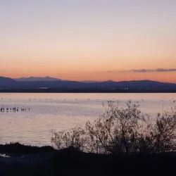 Larnaca Salt Lake - Dali