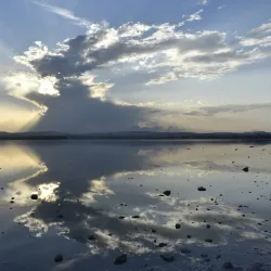 Larnaca Salt Lake - Dali