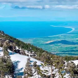 Troodos Mountains - Dali