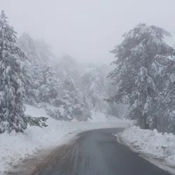 Troodos Mountains - Dali