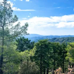 Troodos Mountains - Dali