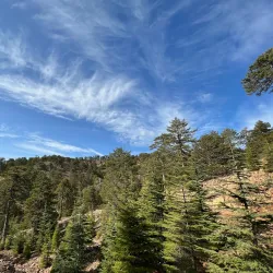 Troodos Mountains - Dali
