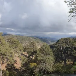 Troodos Mountains - Dali