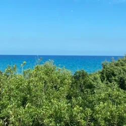 Karpaz Peninsula - Degirmenlik