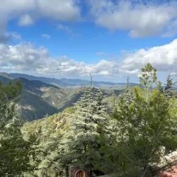 Archbishop Makarios III Cultural Foundation - Egkomi