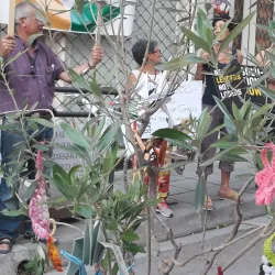 Ledra Street - Egkomi