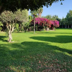 Municipal Park of Egkomi - Egkomi