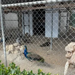 Municipal Park of Egkomi - Egkomi