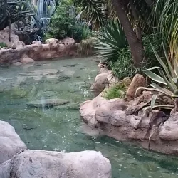 Municipal Park of Egkomi - Egkomi