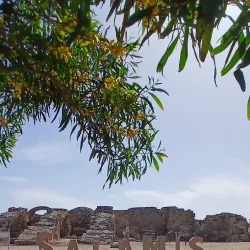 Salamis Ruins - Famagusta