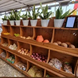 Iskele Marina - Iskele