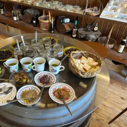 Local Olive Groves - Iskele